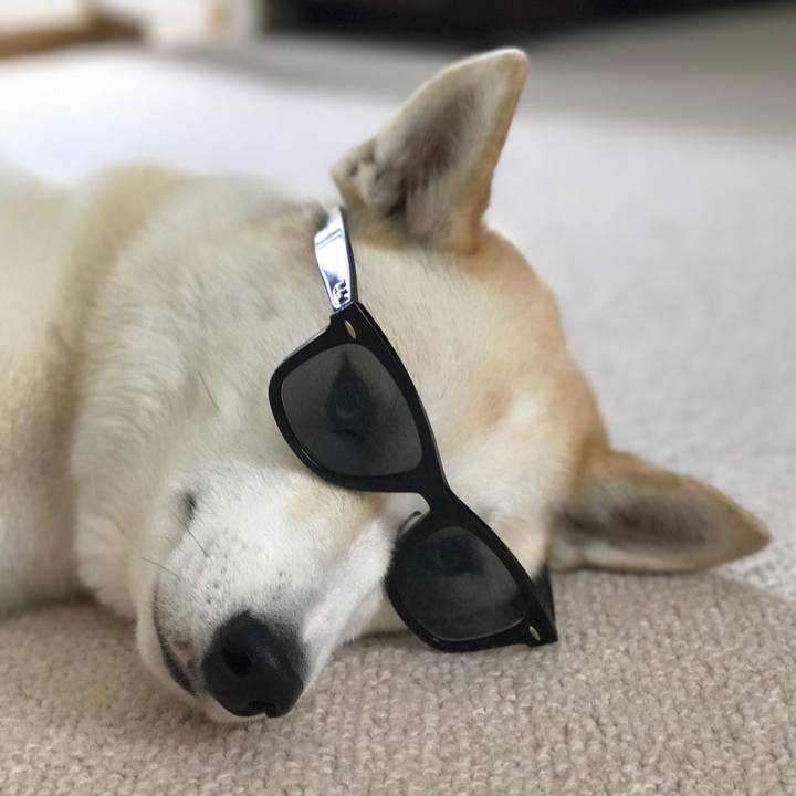 D3faa1f0 037e 4f68 92bc bf3805b6376e