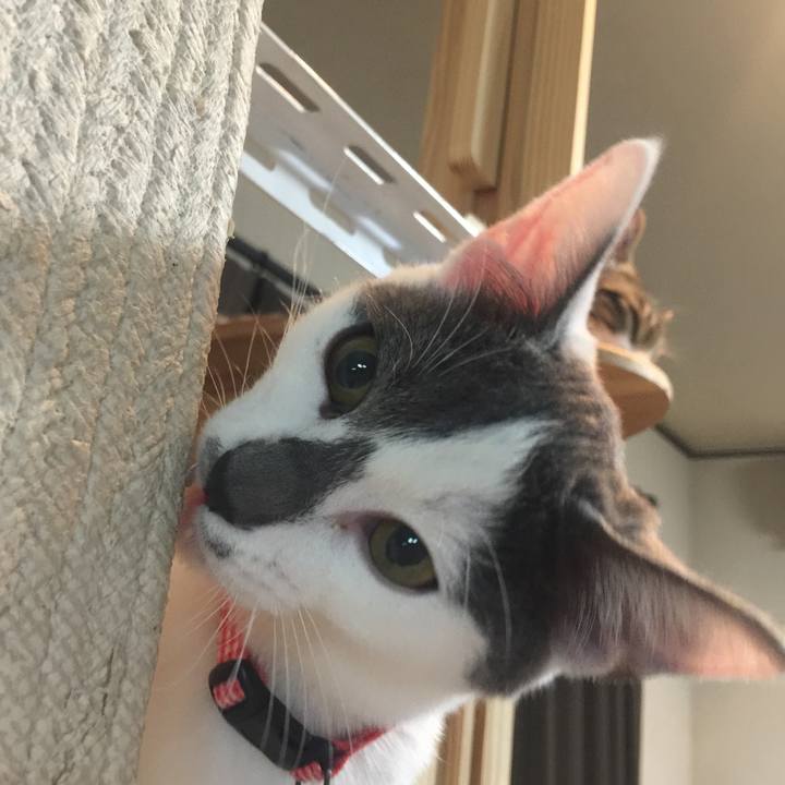 D3fabbdb 7cb0 4e30 9016 42ad8a38c956