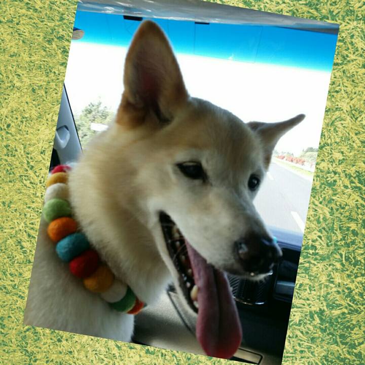 D3fad156 ec0d 4e05 bd1e 6d50561a859f