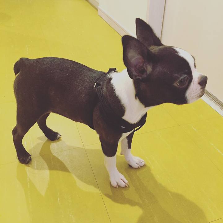 D3faf7d8 212f 43b4 85fe 0f61ad95c921