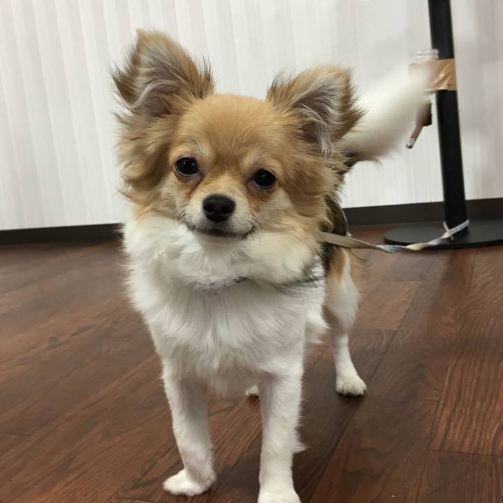 D3fb3bcb 1948 4077 b066 6edcf92d43cb