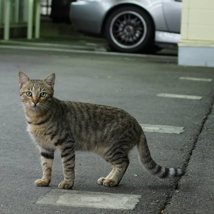 D3fb47c8 7622 4932 9426 95c9557a536a