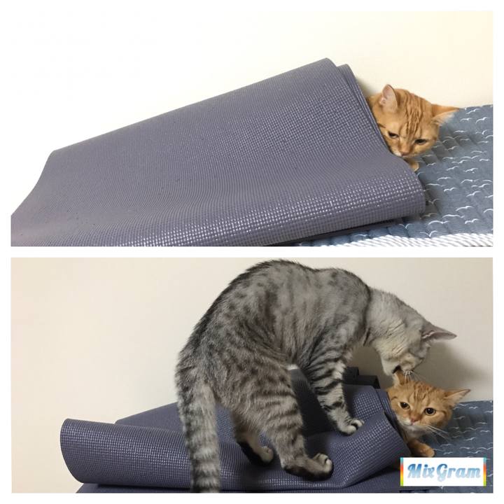 D3fb7bc1 217e 4ba0 bd2a 64316e488f21