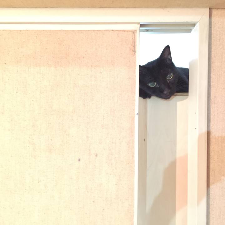 D3fbb64a bd30 43fd a213 df273fb3d5cf