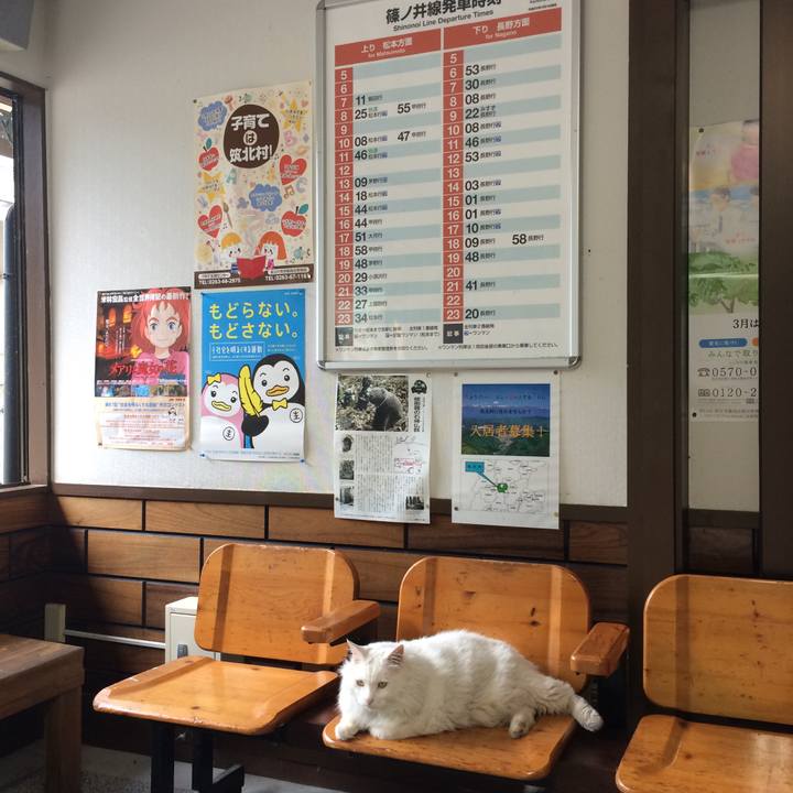 D3fbbe20 a21c 4b16 958e c08977529e8f