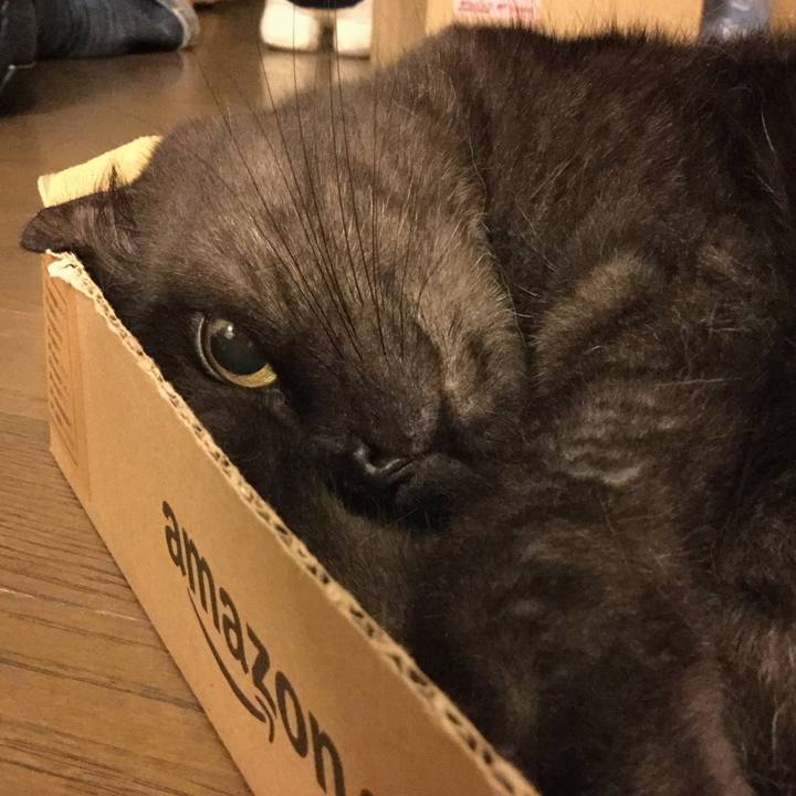 D3fc9e96 8644 4438 a5b6 ec7f5eec45d4