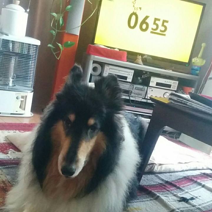 D3fca4ec e5ff 4a49 b7af 962949a9a84c