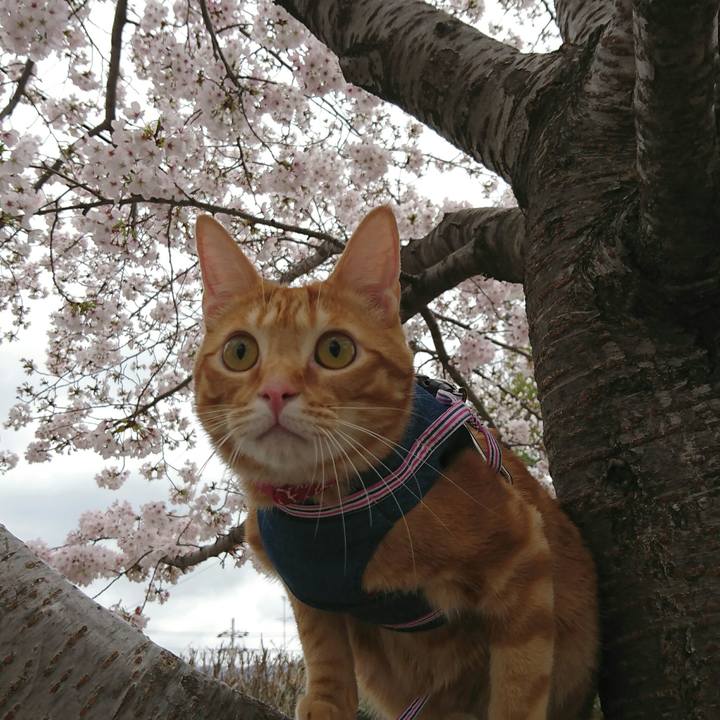 D3fd21b2 e995 4947 a5f6 38f75870df0b