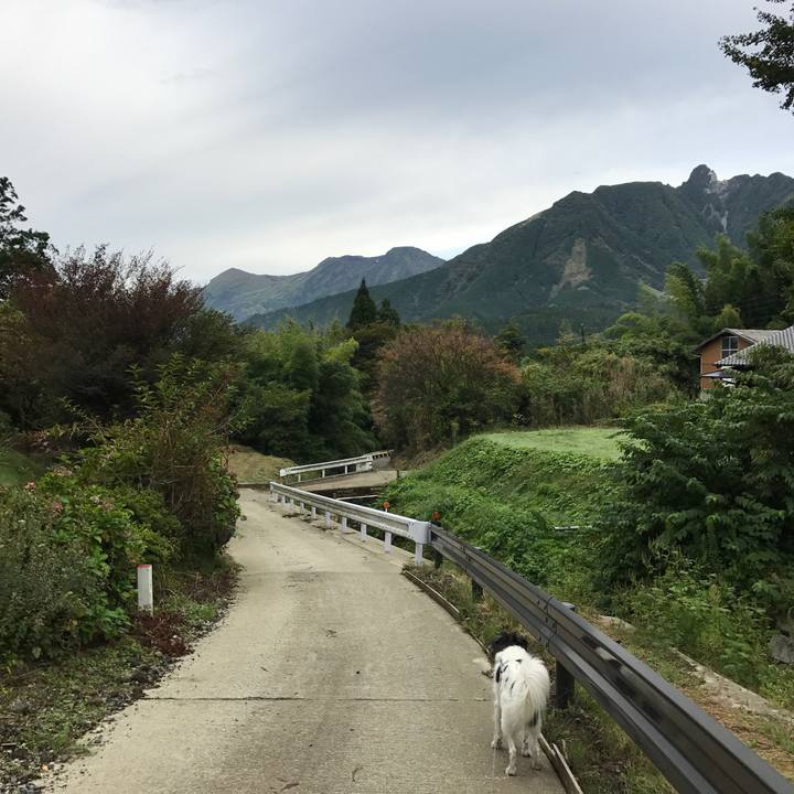 D3fda9b2 321b 458a af0e 00220cc7f9da