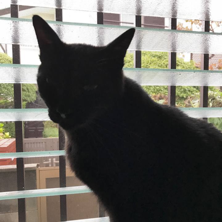 D3fddf4a a883 4375 9315 76b36dea2a6e