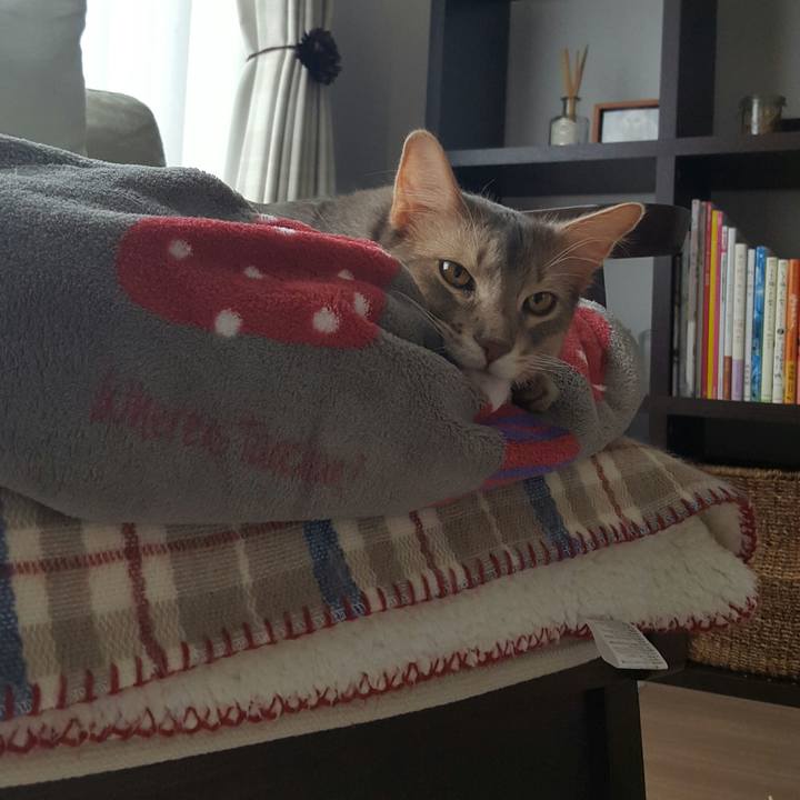 D3fe745a 21e0 495e b41d c32fb06be58d