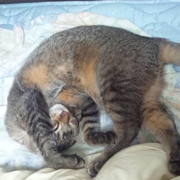 D3fe94eb 06db 41f3 9cb1 53b6c635abe2