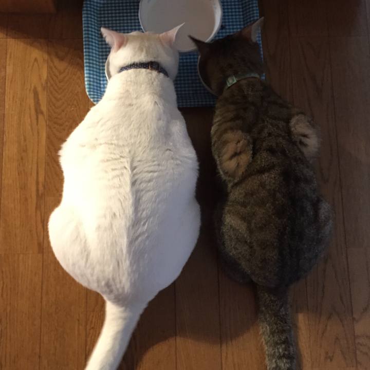 D3ff362c 1348 471f 93c5 5cff392d954d