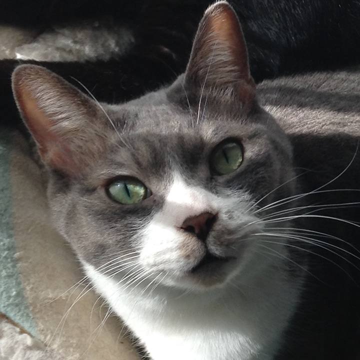 D3ff4328 b5b4 4f77 9868 aaf99b15974a