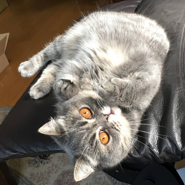 D4004ee7 1de1 4ab1 adbc 559dcac07068