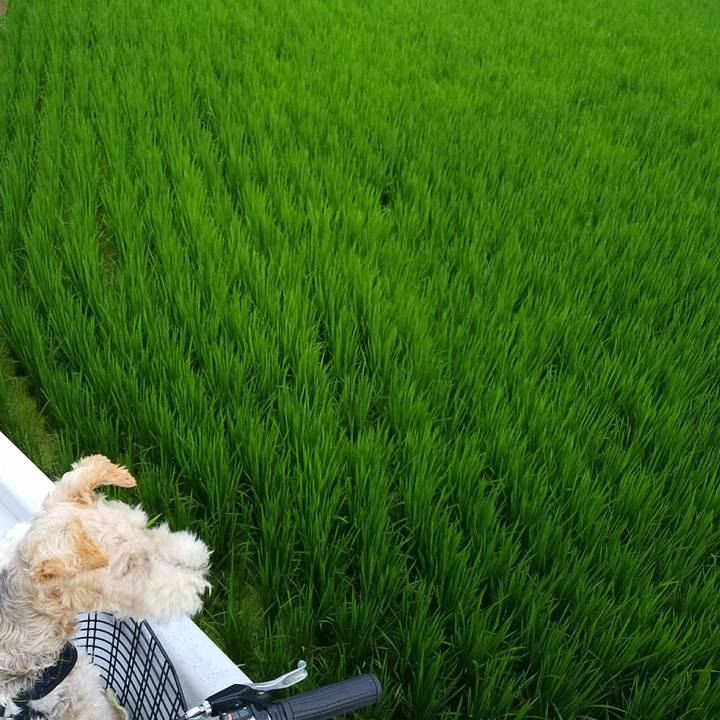 D400541f 3efc 401a 8ce5 0bf0551a728c