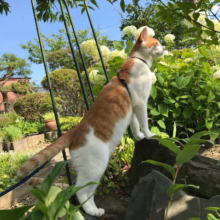 D400669b 494e 4269 82b1 d2c1a7f47aac