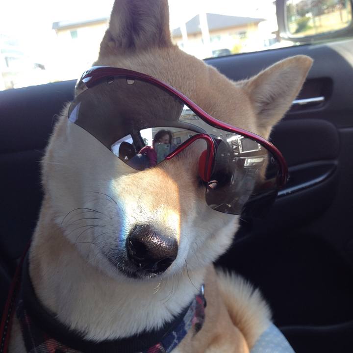 D40067f0 4b0a 43e7 b81a 2dd1e31923ec