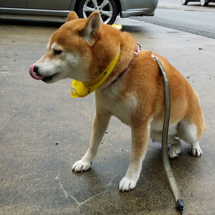 D400b99a 0747 45ea 8790 5c6571ef6062