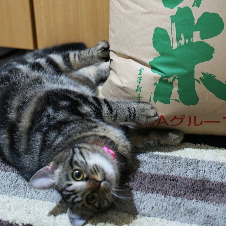 D400ed87 0bdd 44a5 b363 e9bf7b2793dc