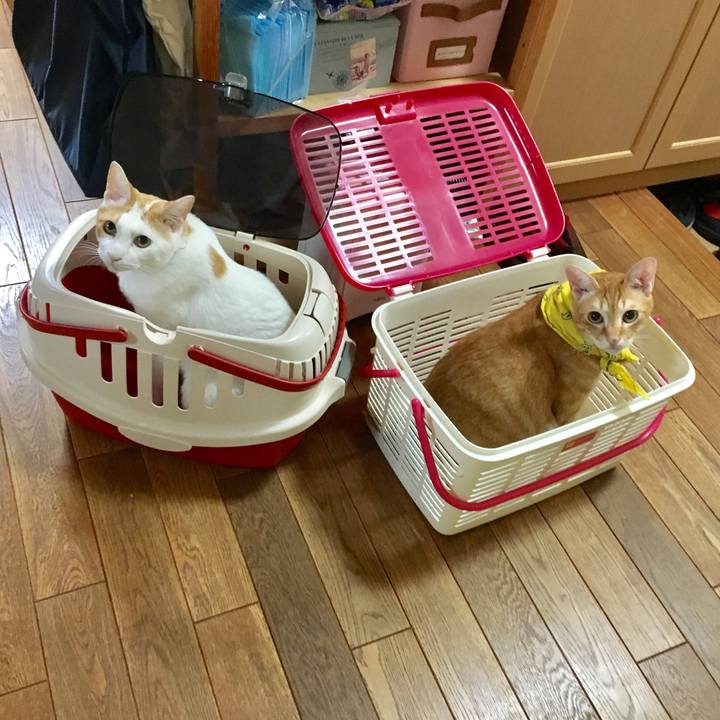 D40142f9 c7f2 41e0 bf90 e1549633c98f