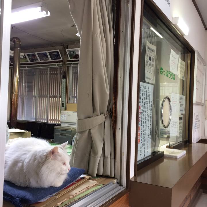 D4019604 707a 4334 805f c44f0653dfdf