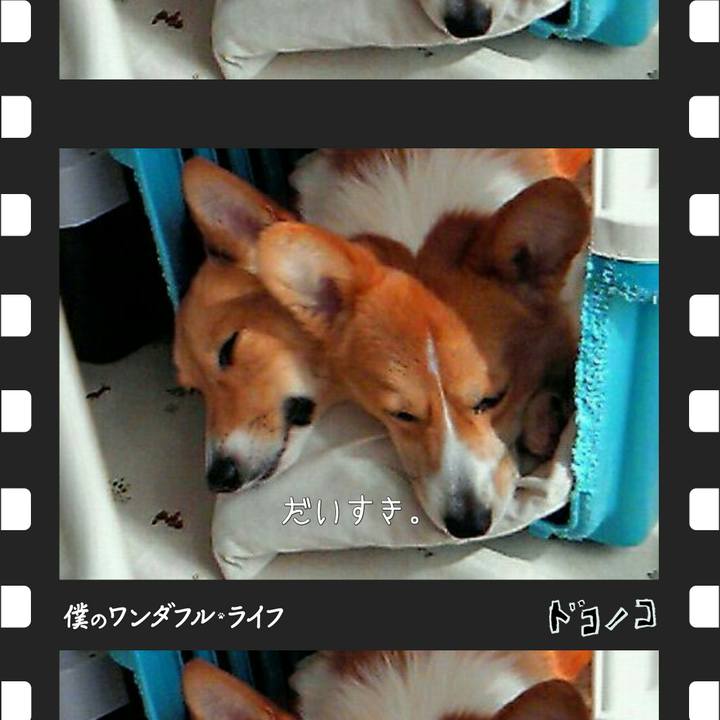 D401a98f ad37 4736 87ad 805cd1d15736