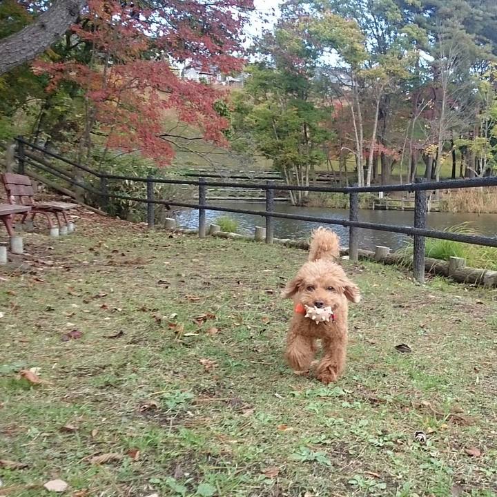 D4028382 721c 4a57 8ab1 b86e73aaa7a7