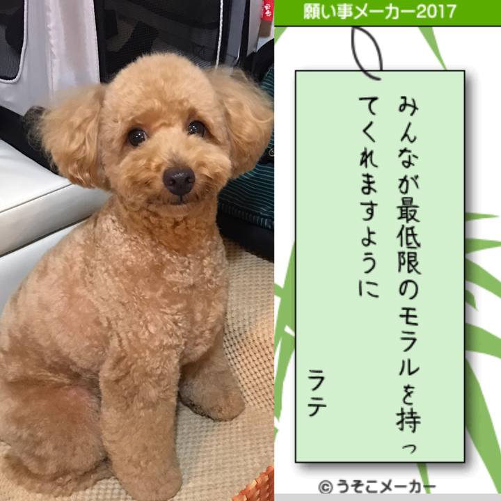 D402aa5f 72fb 4825 8948 4855834d12e1