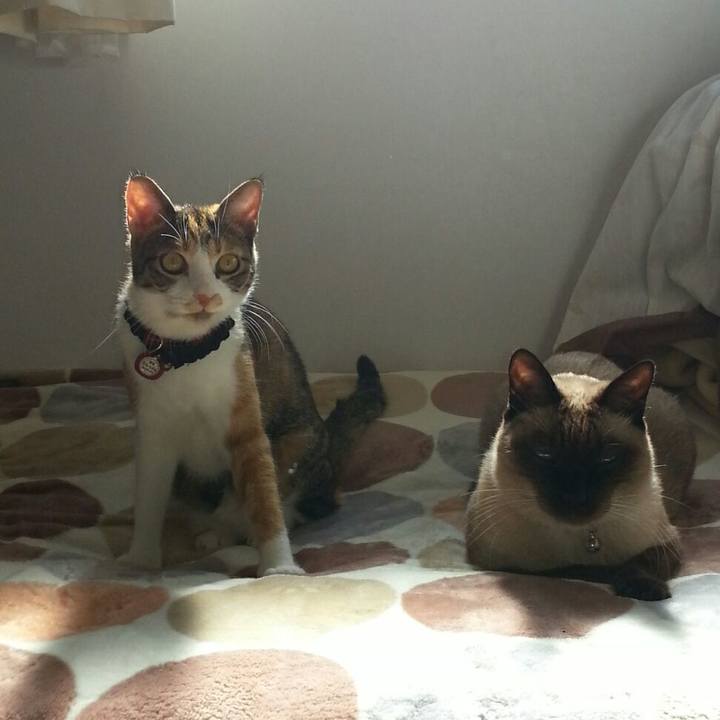 D402f040 2728 4d20 9f36 7598dd3ec90a