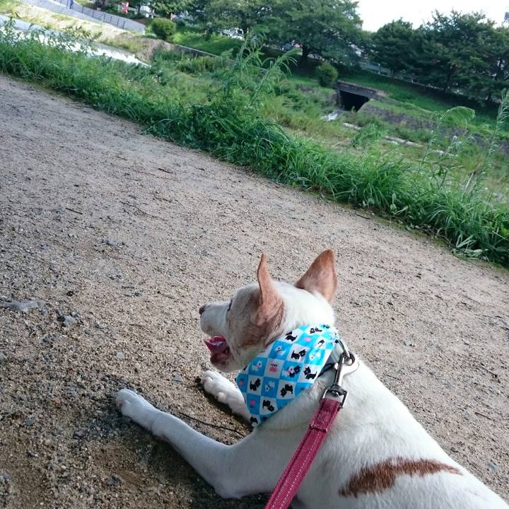 D40376db 6f94 4931 a9e6 c0f0b1252248