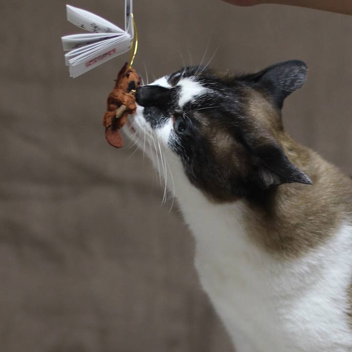 D403817d d136 4c4f b845 78f8613d0cf9