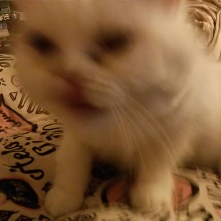 D403e916 90be 4c03 8c29 dfc0a41ca0b6