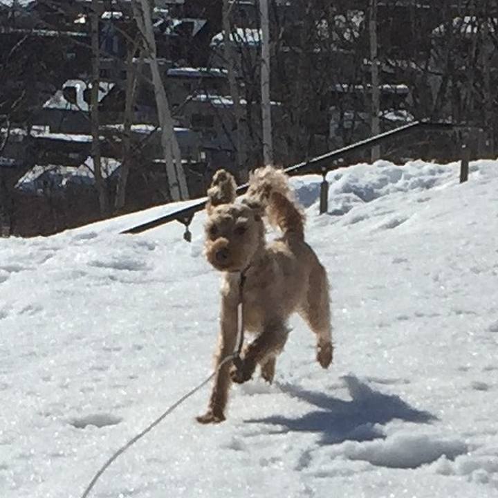 D4044bcf 3570 47a5 b09a c86f07ba6e6d