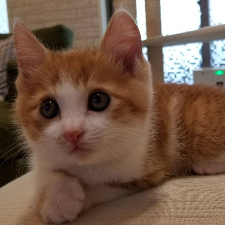 D4048622 c1d7 469d a24b 1676af0dc7e2