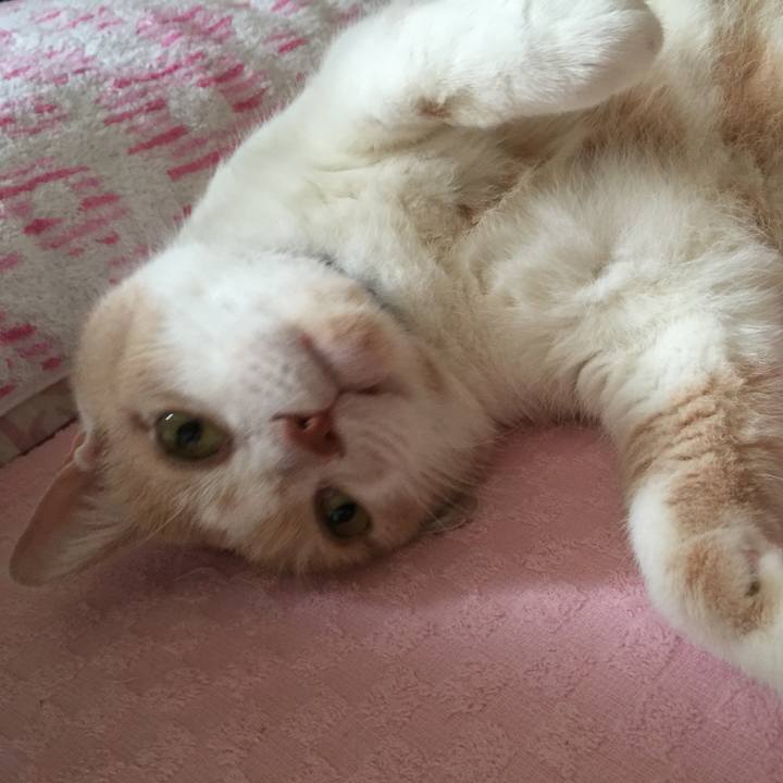 D405c082 63e4 4ae5 b1c3 406969a4cdc1