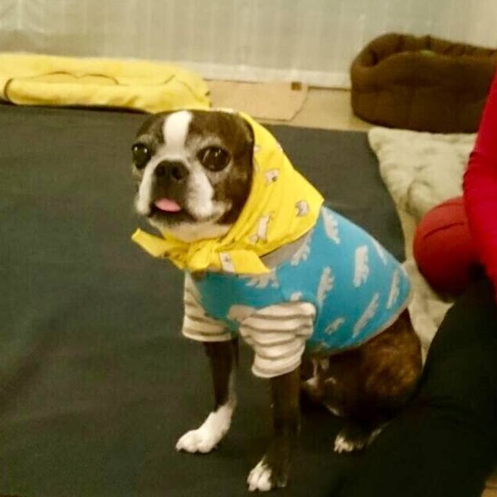 D406b21a 144f 4e94 90bf 05839a3ae9a2