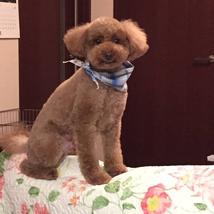 D406dfab fc37 4853 995d 9258c368d106