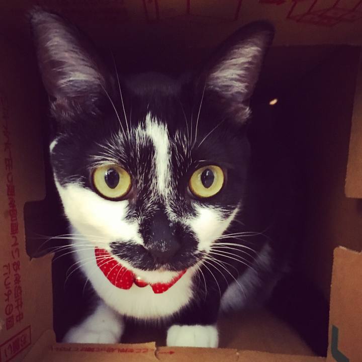 D407a832 cbc2 42ef 8d18 7cbb2339ec93