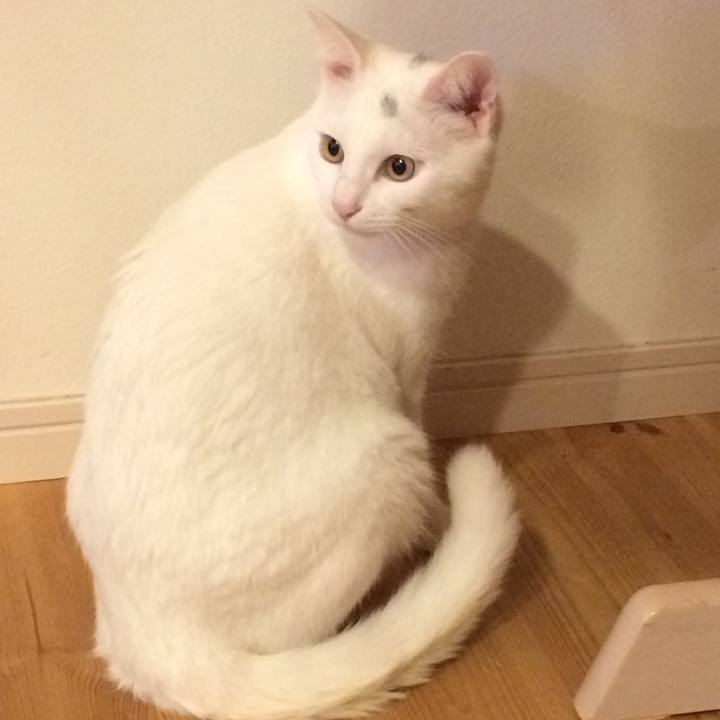 D407e73a ba08 4800 bea8 ce862f4f432b