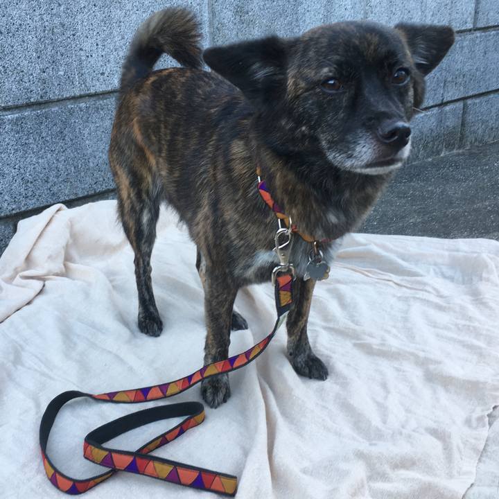 D408ceab ad61 4767 854a c9ad05093100