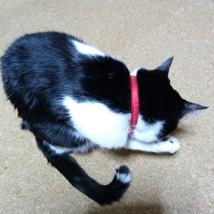 D4090259 6d74 4678 b7c1 060e65f49d72