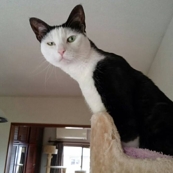 D409bb9c 01c2 44d7 afe7 bddbdc27367d