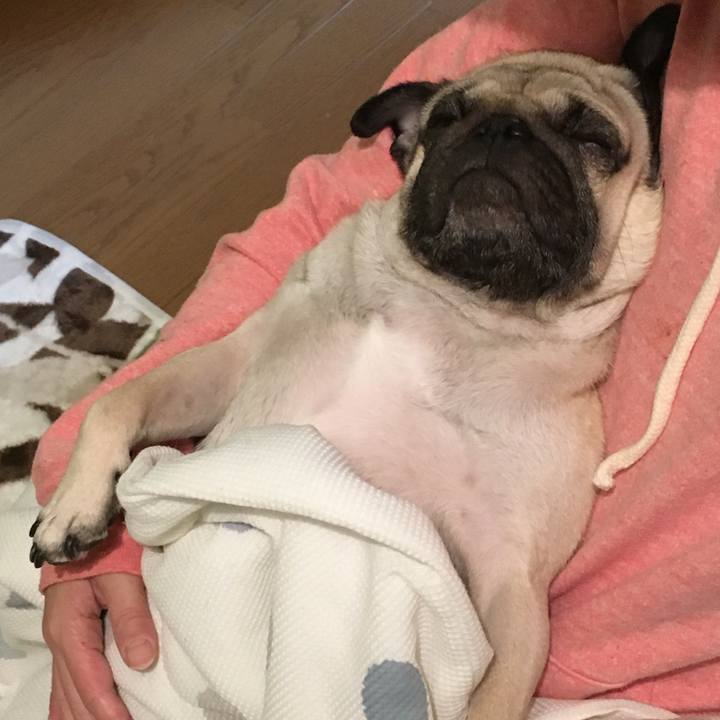 D409cfa4 98f7 42c0 96e4 1e262954d04e