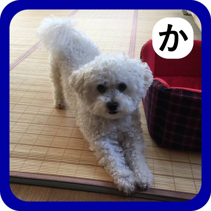 D40aa74c adbc 49f7 b87a 457a124bf13d