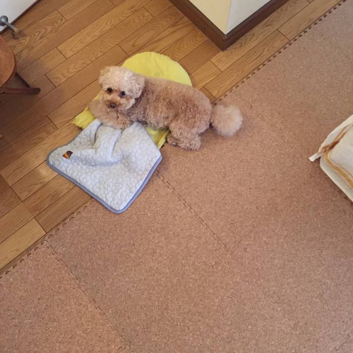 D40aaaa7 7b44 47c3 8005 86c63d10d29f