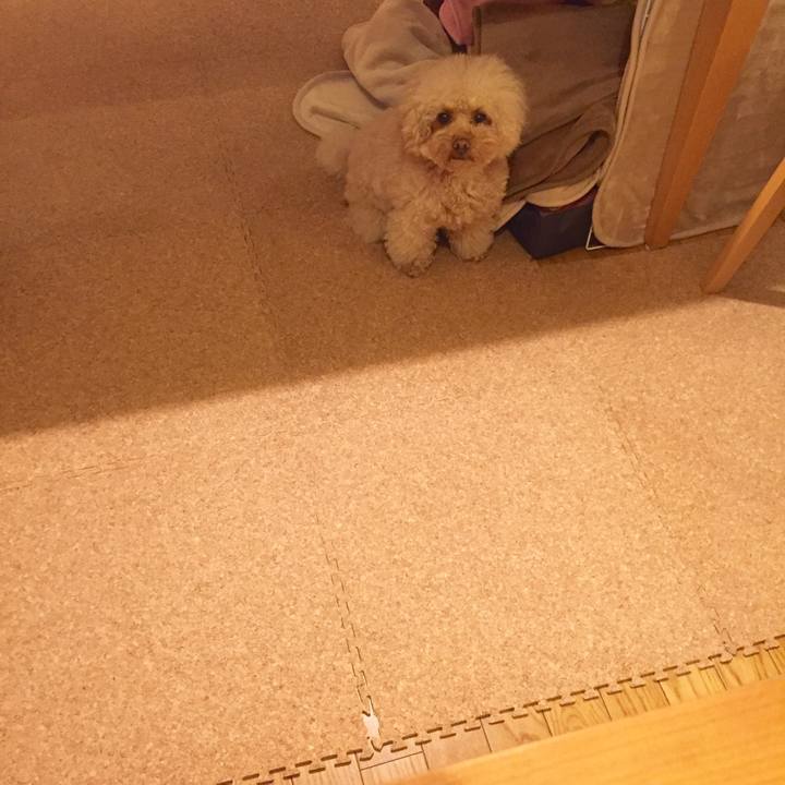 D40aeb72 3ab4 4ba4 838a 4e89c4cc2c6d