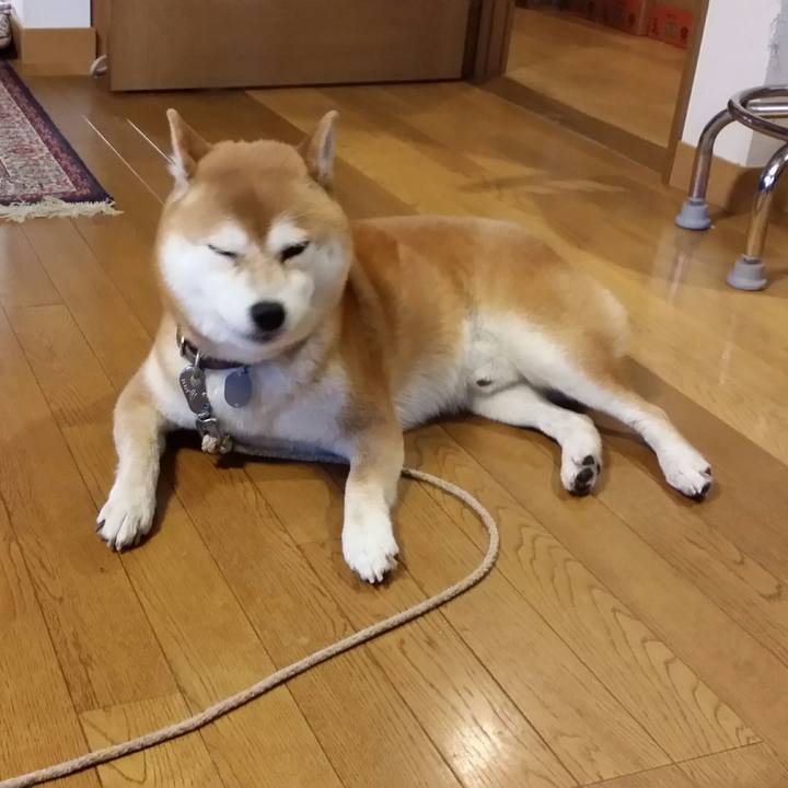 D40b68cb adcc 4c78 89b1 fc45fb114eb2