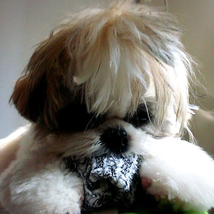 D40b786e 08da 4440 b713 b568f85f246d