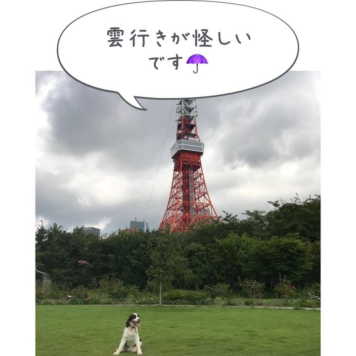 D40b7b44 2172 4af2 9708 41d14ed1e557